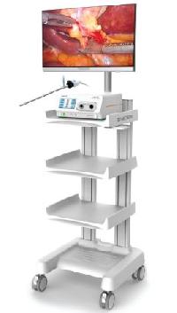 Video Endoscopy System