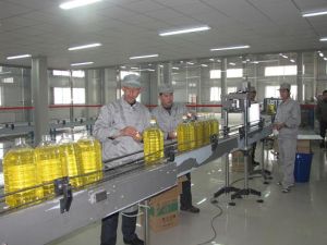 Sunflower Seed Oil