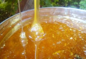 100% Pure HONEY HARVEST 2016