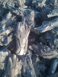 Wood Charcoal coal