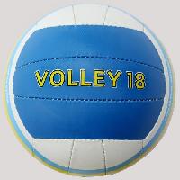 Hand Stitched Volleyball