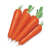 Frozen Orange Carrot