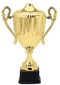 Gold Plated Trophy Cup