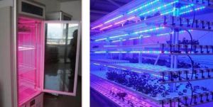 QT-LED1218 Plant Fill Light Lamp QT-LED1218 Plant Fill Light Lamp