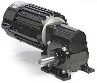 Ac Geared Motors