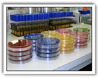 microbial starter cultures