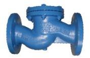 Cast Iron Check Valve