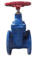 Cast Iron Gate Valve