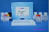 Ciprofloxacin Elisa Test Kit