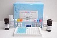 Salmonella Elisa Test Kit