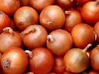 Fresh Desi Onion