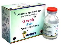 G Ceph Injection