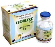 Gomox Forte Injection