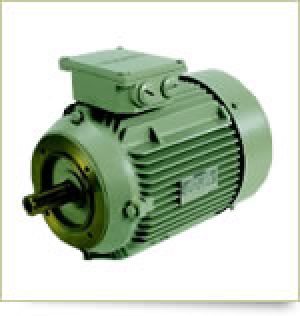Squirrel Cage Induction Motor