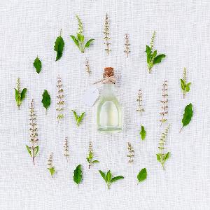 spearmint oil