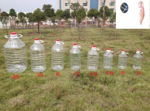 sunflower oil,  Country of Origin : India