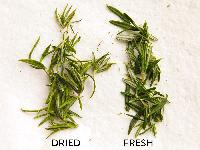 Dry Herbs