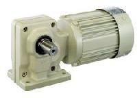 Worm Gear Motor