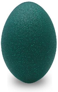 emu bird egg