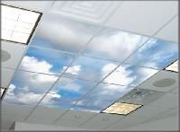 Roof Ceiling Panel