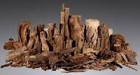 agarwood