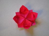 Origami Lotus Paper Flowers