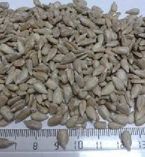 NON GMO Sunflower Seeds/Sunflower Seeds Kernel