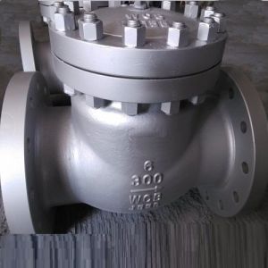 Carbon Steel Flanged Check Valves