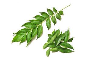 Fresh Curry Leaves