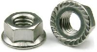 Hex Flange Nuts