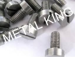 Molybdenum Fasteners