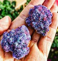 purple urkle