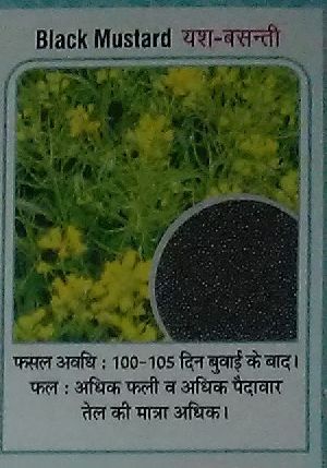 Yash- Basanti  Black Mustard Seeds