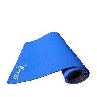 Dual Color Blue Yoga Mat for Fitness, Gym, Meditation  Exercise