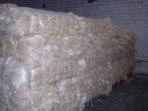 Sisal Fibre