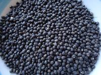 Black lentils, Black gram