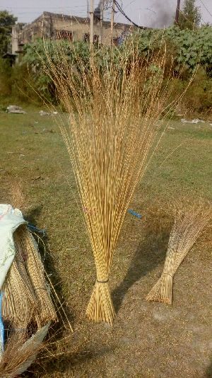 Super Coconut Brooms