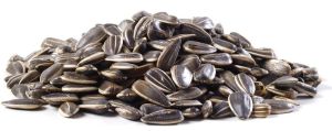 roasted sunflower seeds