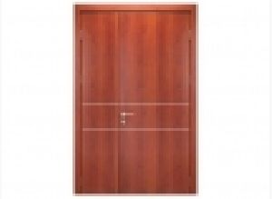 Wooden Finish Steel Doors