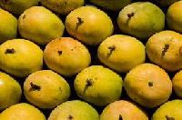 Bangalora (Totapuri) Mangoes