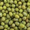 Mung Beans,  Storage Instructions : Dry Place