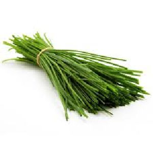 Fresh Chives