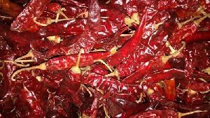 341 Dried Red Chilli