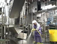 Poultry Processing Equipment Engineering Services