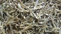 Dried Anchovy Fish