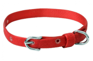 Kennel Furlon Mini Collar (W = 1/4