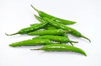 fresh green chilli