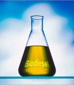 biodiesel
