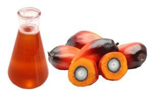 crude palm oil crude palm oil