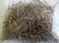 Ashwagandha-  Withania somnifera  Dry Roots